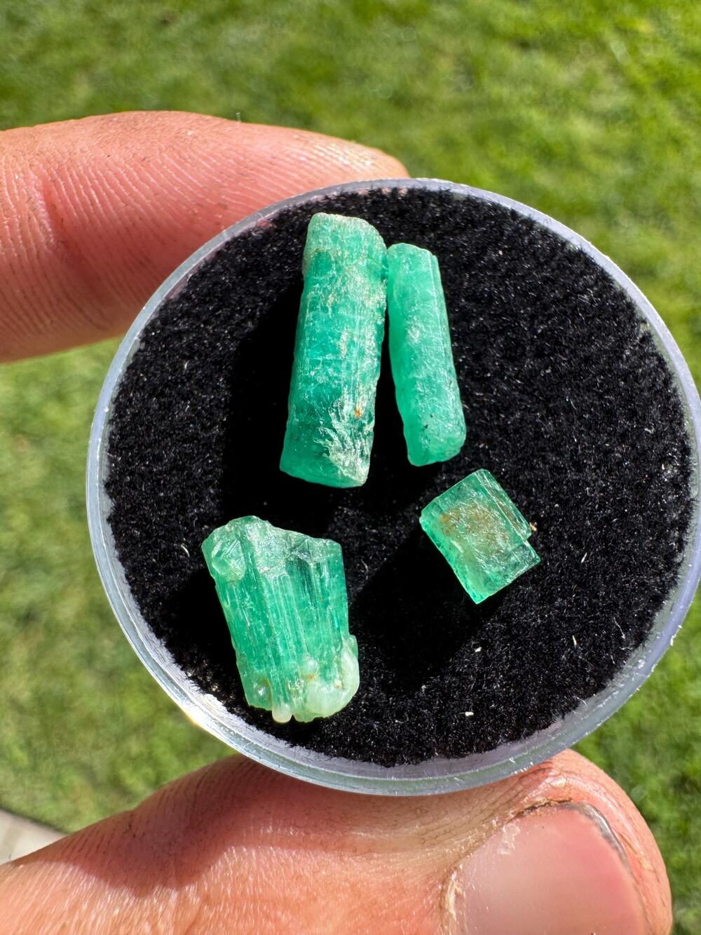 Emerald Crystals Lot in Display Case - 6 carats